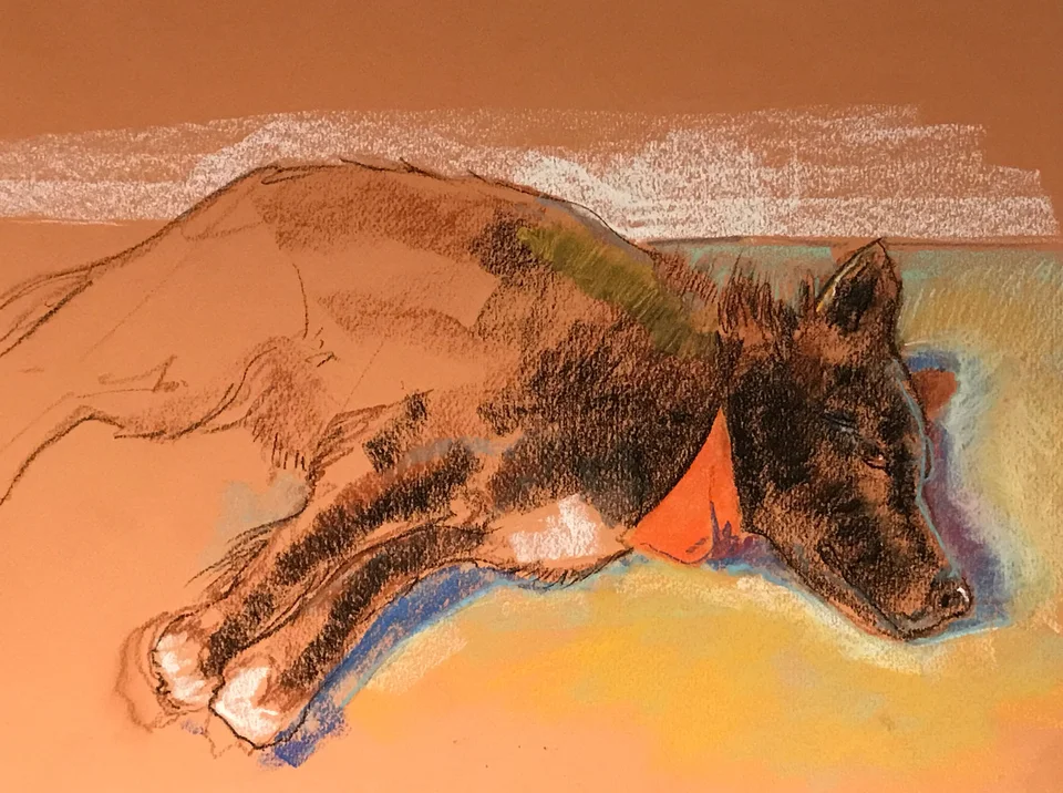 bandito_pastel_joseph-bergen