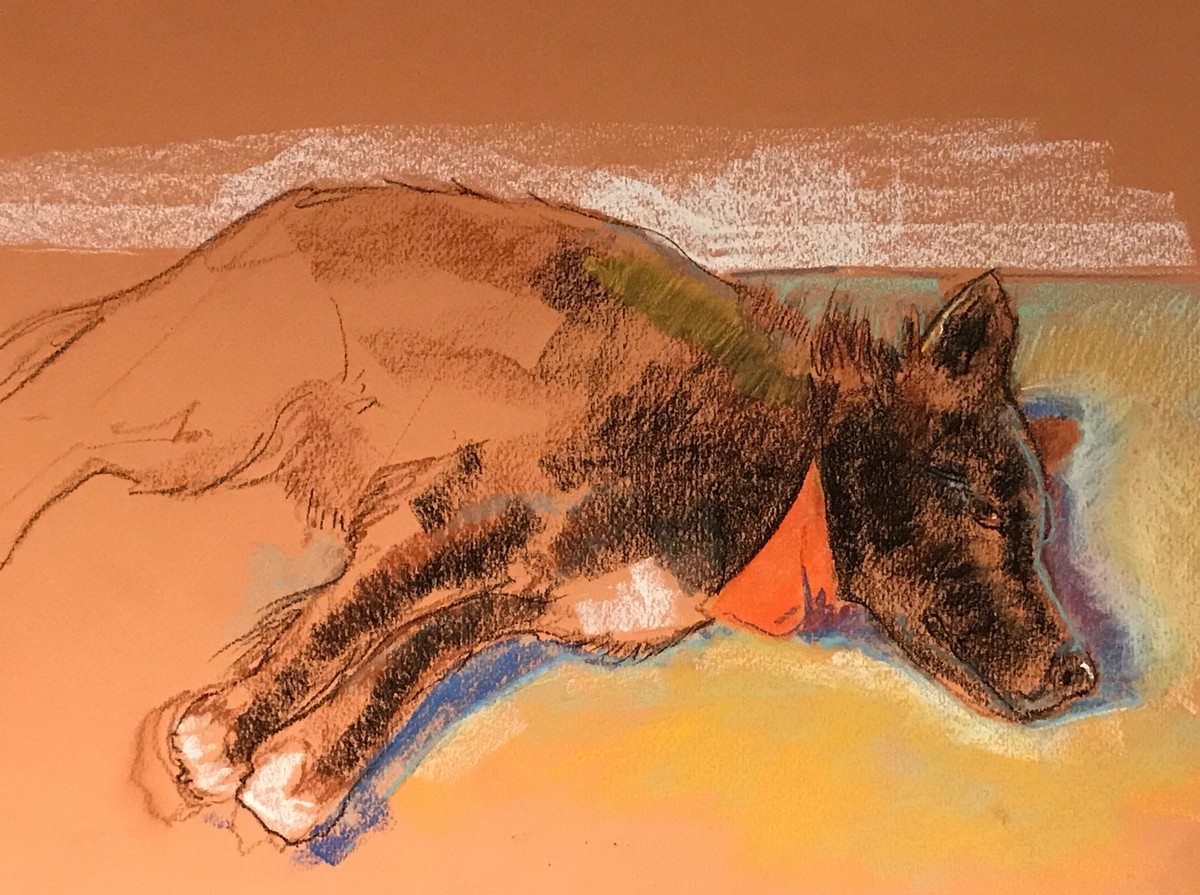 bandito_pastel_joseph-bergen.jpg